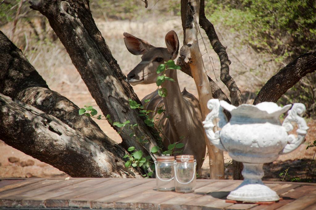 Mvuradona Safari Lodge Marloth Park Extérieur photo
